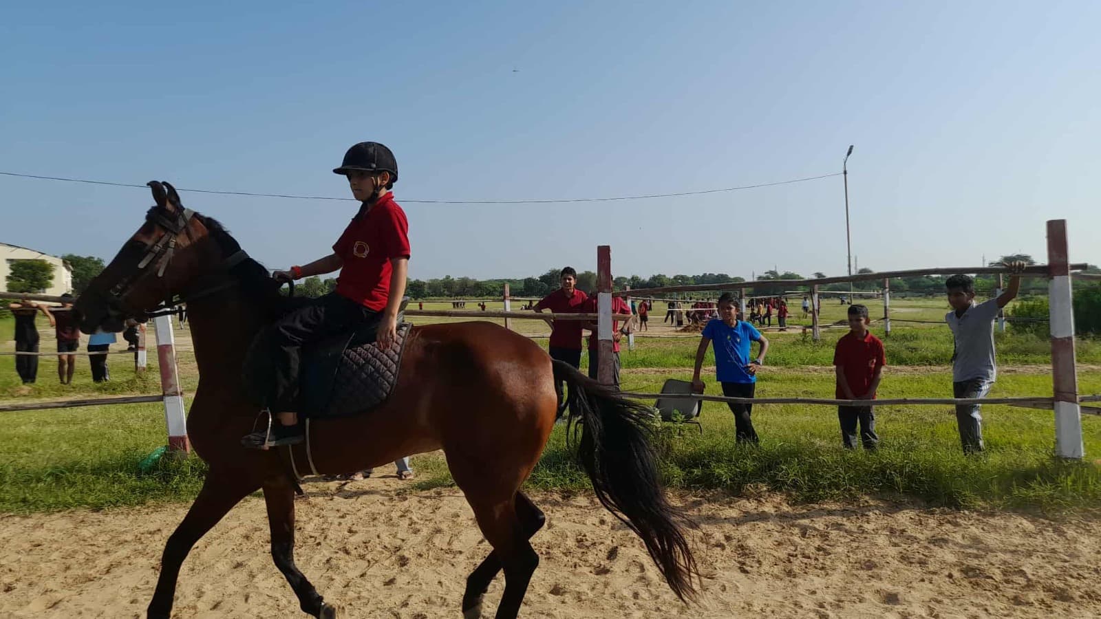 Horse Riding